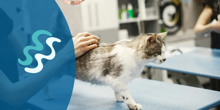 seguro de mascotas con veterinario incluido