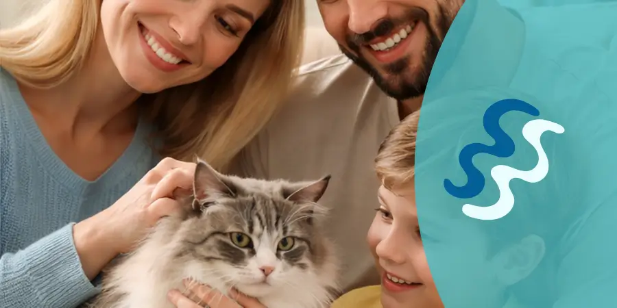 seguro médico para gatos